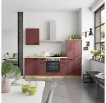 Cuisine équipée avec élément haut, évier, cuisinière, hotte aspirante et cuisinière électrique dans une pièce lumineuse