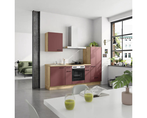 Moderne Küche mit Hängeschrank, Dunstabzugshaube, Spüle, Kochfeld und Backofen in heller, geräumiger Wohnung