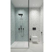 Salle de bain avec douche, toilettes et carreaux de mosaïque