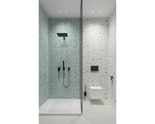 Salle de bain avec douche, toilettes et carreaux de mosaïque