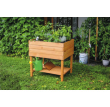Jardinière surélevée en bois avec herbes aromatiques et arrosoir dans le jardin