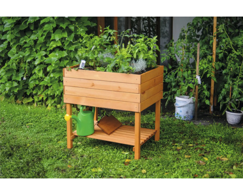 Jardinière surélevée en bois avec herbes aromatiques et arrosoir dans le jardin