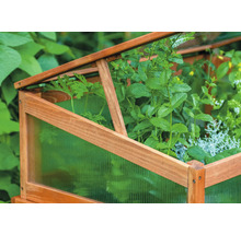 Detailaufnahme eines Frühbeets aus Holz mit Pflanzen