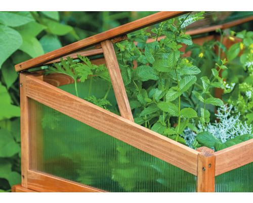 Detailaufnahme eines Frühbeets aus Holz mit Pflanzen