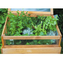Hochbeet aus Holz mit verschiedenen Kräutern und Pflanzen