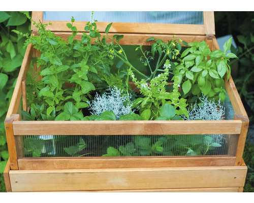 Hochbeet aus Holz mit verschiedenen Kräutern und Pflanzen