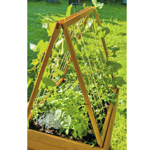 Hochbeet mit Rankhilfe und Bepflanzung im Garten