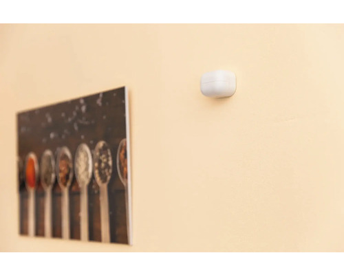 Wand mit Rauchmelder und Bild