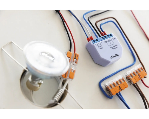 Installation einer Lampe mit Shelly Smart Home Relais und Wago Klemmen