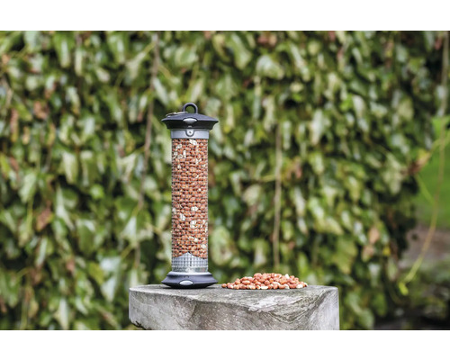 Vogelfutterspender mit Erdnüssen auf einem Steinsockel