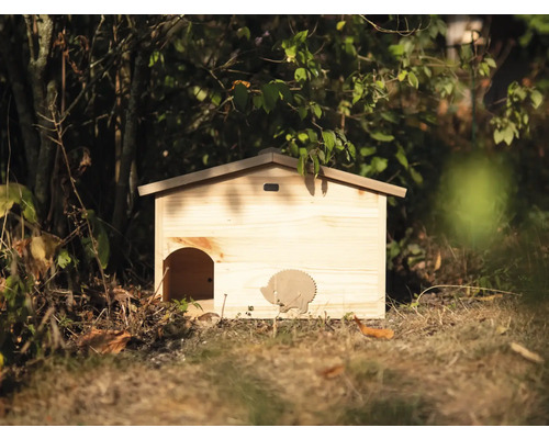 Maison à hérissons en bois dans le jardin