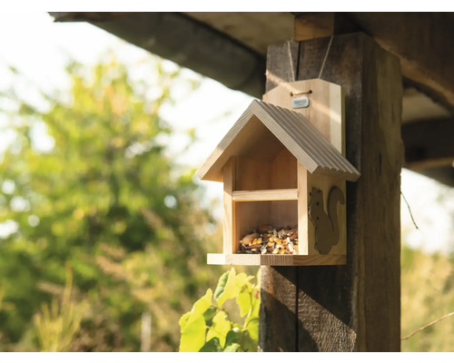 Holz Vogelhaus mit Eichhörnchenmotiv zur Wandmontage