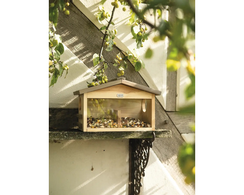 Vogelhaus mit Futter auf einer Konsole