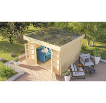 Abri de jardin Karibu Zelda 5 avec kit de végétalisation de toiture 297 x 297 cm naturel