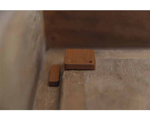 Contact de porte magnétique pour la surveillance des portes