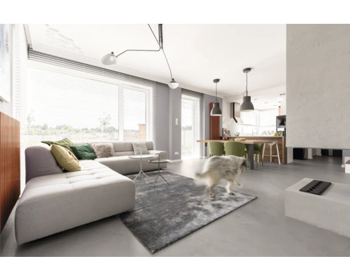 Helles Wohnzimmer mit Sofa, Teppich und Blick auf die Küche.