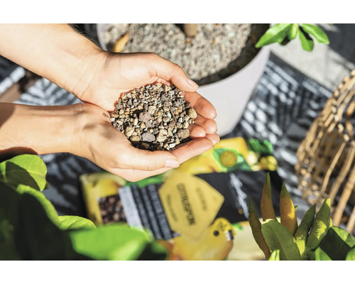 Hände halten Blähton zur Bodenverbesserung