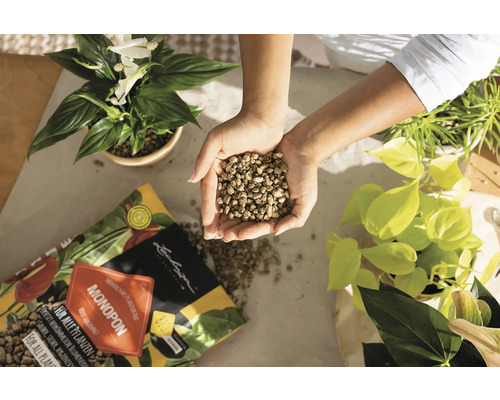 Frau hält Lechuza Pon Pflanzsubstrat in ihren Händen neben Zimmerpflanzen und einer Packung des Substrats