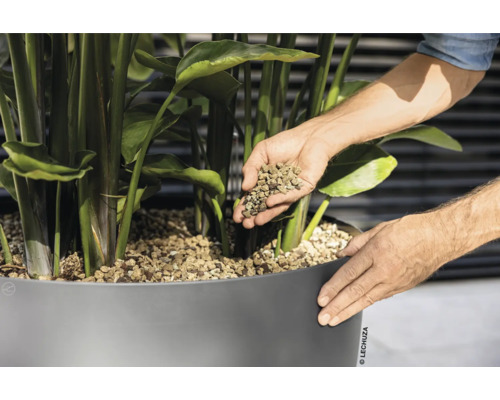 Une personne remplit des billes d''argile dans un bac à plantes contenant une plante