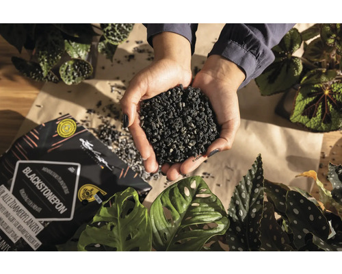 Des mains tiennent du substrat pour plantes Lechuza Blackstonepon à côté de plantes d''intérieur et d''un emballage ouvert.