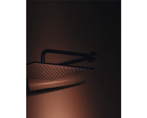 Pomme de douche avec bras de douche pour salle de bains