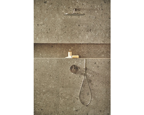 Badezimmerdusche mit Kopfbrause, Handbrause und Ablage