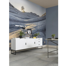 Salon avec commode, table et papier peint mural rocheux
