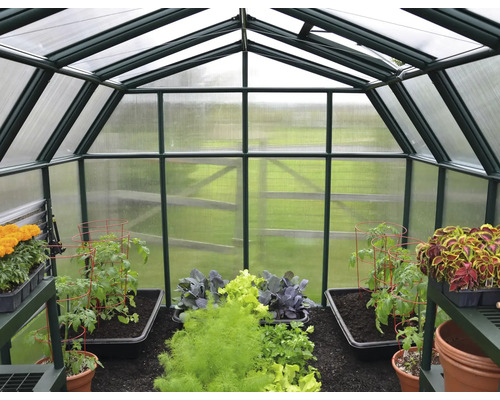 Innenansicht eines Gewächshauses mit verschiedenen Pflanzen und Gemüsebeeten.