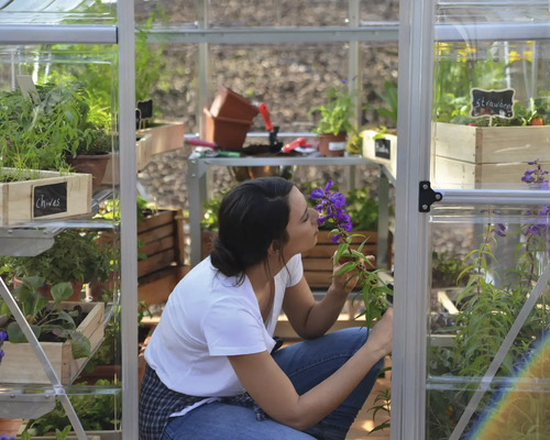 Frau im Gewächshaus, die an einer Blume riecht, mit Kräutern und Erdbeeren in Pflanzgefäßen.