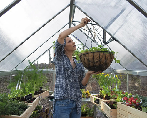 Eine Frau befestigt eine Hängeampel in einem Gewächshaus mit verschiedenen Pflanzen in Holzkästen.
