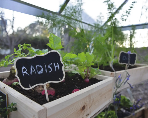 Anzucht von Radieschen in Holzkisten mit beschrifteten Schildern