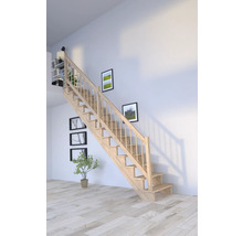 Escalier en bois clair dans une pièce lumineuse avec des décorations murales.