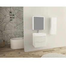 Jungborn Spiegelschrank QUATTRO SEDICI NOVE 60 x 20 x 70 cm weiß matt 1-türig LED IP 44