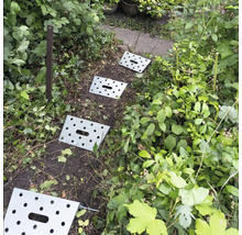 Pas japonais en métal dans un sentier de jardin entre les plantes.