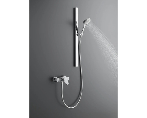 Duschgarnitur mit Handbrause und Brausestange