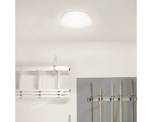 Raumbild mit Deckenleuchte, Leiter und Geräten