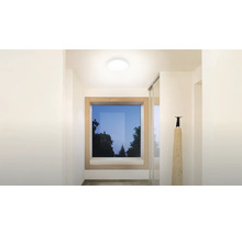 Flur mit Deckenleuchte, Fenster und Skulptur