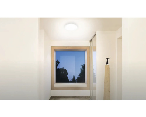 Flur mit Deckenleuchte, Fenster und Skulptur