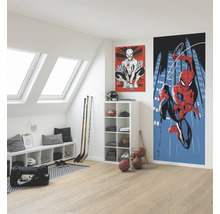 Papier peint panoramique intissé IADX2-091 Into Wonderland SpiderMan Rooftop 2 pces 100 x 250 cm