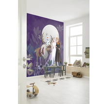 Chambre d''enfant avec papier peint photo motif Reine des neiges, table et chaises