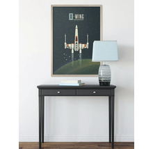 Dekorativer Raum mit Konsole, Lampe und gerahmtem Star Wars X-Wing Poster