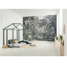 Papier peint panoramique intissé IAX8-0063 Into Wonderland Wood Wide Web 8 pces 400 x 280 cm