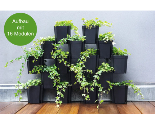 Système de végétalisation murale avec 16 modules et plantation devant un mur