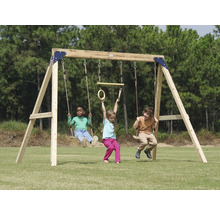 Spielplatz mit Schaukel und Turnringen für Kinder im Garten.