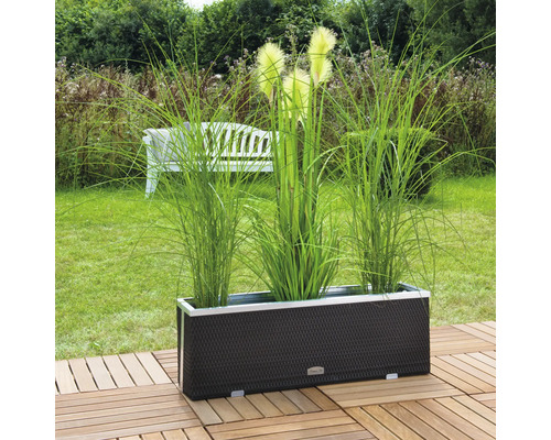 Länglicher Pflanzkasten mit Pflanzen auf einer Holzterrasse