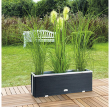 Jardinière rectangulaire en résine tressée avec graminées dans le jardin