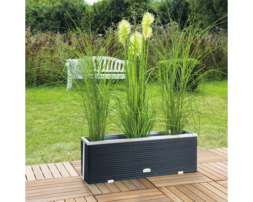 Jardinière rectangulaire en résine tressée avec graminées dans le jardin