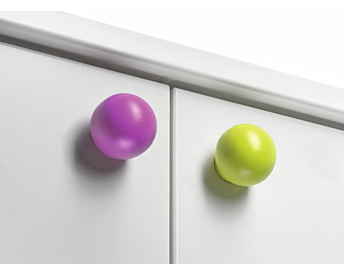 Deux portes de meubles avec chacune un bouton rond