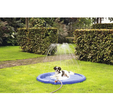 Ein Hund liegt in einem blauen Planschbecken mit Wasserspritzern im Garten.
