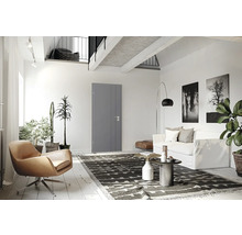 Espace de vie lumineux avec porte, sièges, tapis et décoration